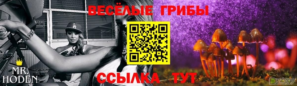Галлюциногенные грибы MAGIC MUSHROOMS  Вход с VPN  Псилоцибиновые грибы Cubensis  Туймазы 